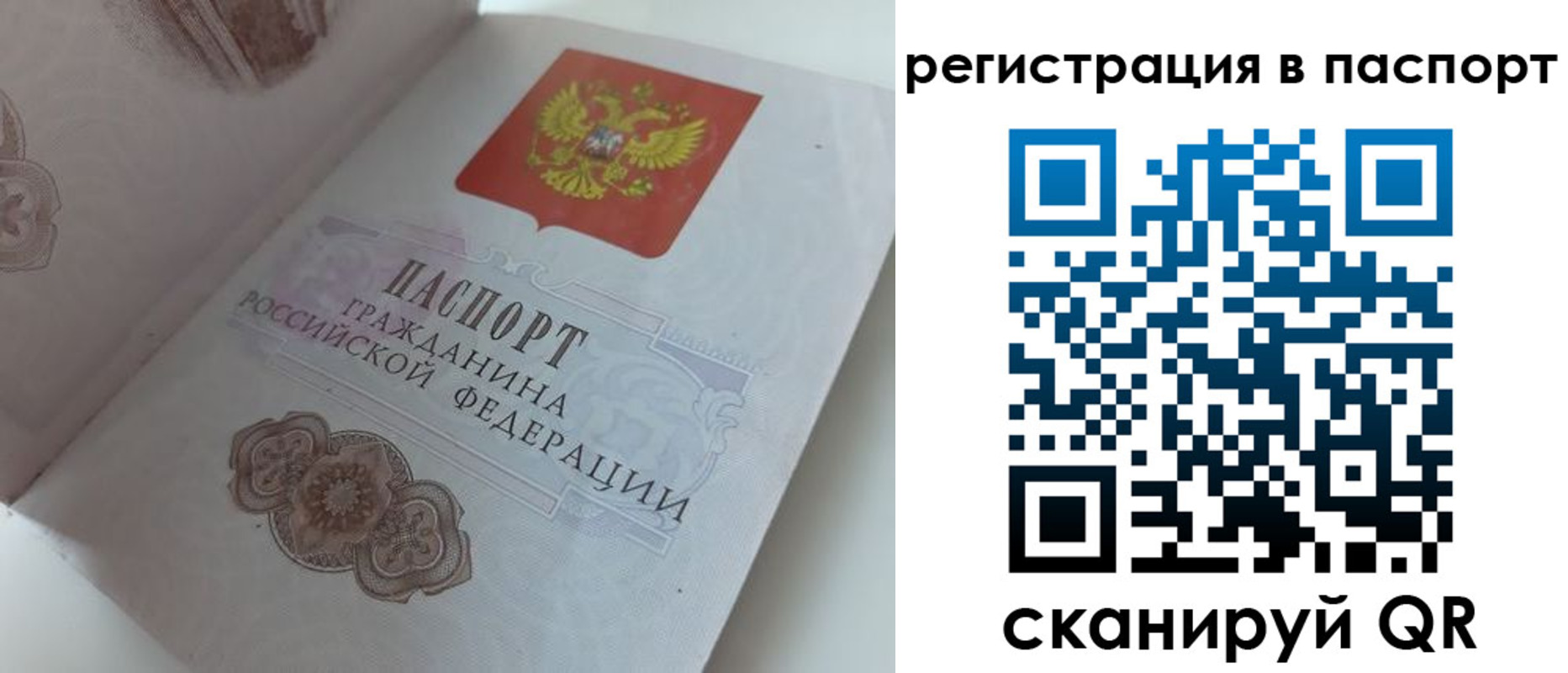 прописка регистрация в Ипатово